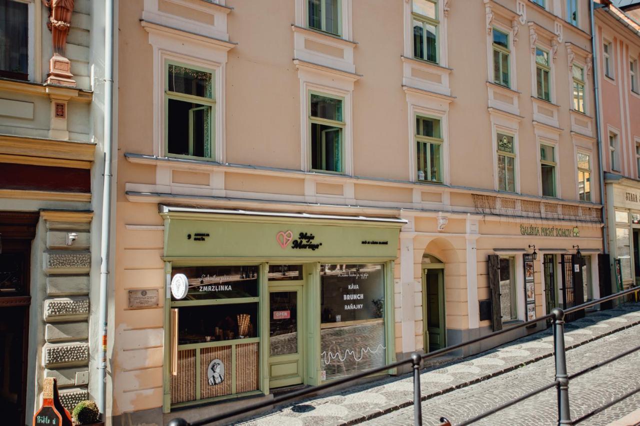 Priestranny Apartman Moja Marina V Srdci Stiavnice Banská Štiavnica المظهر الخارجي الصورة